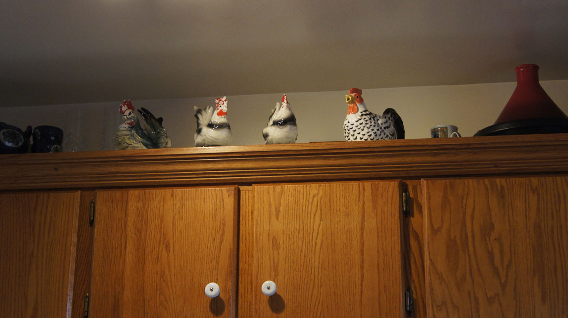 chickens on soffit