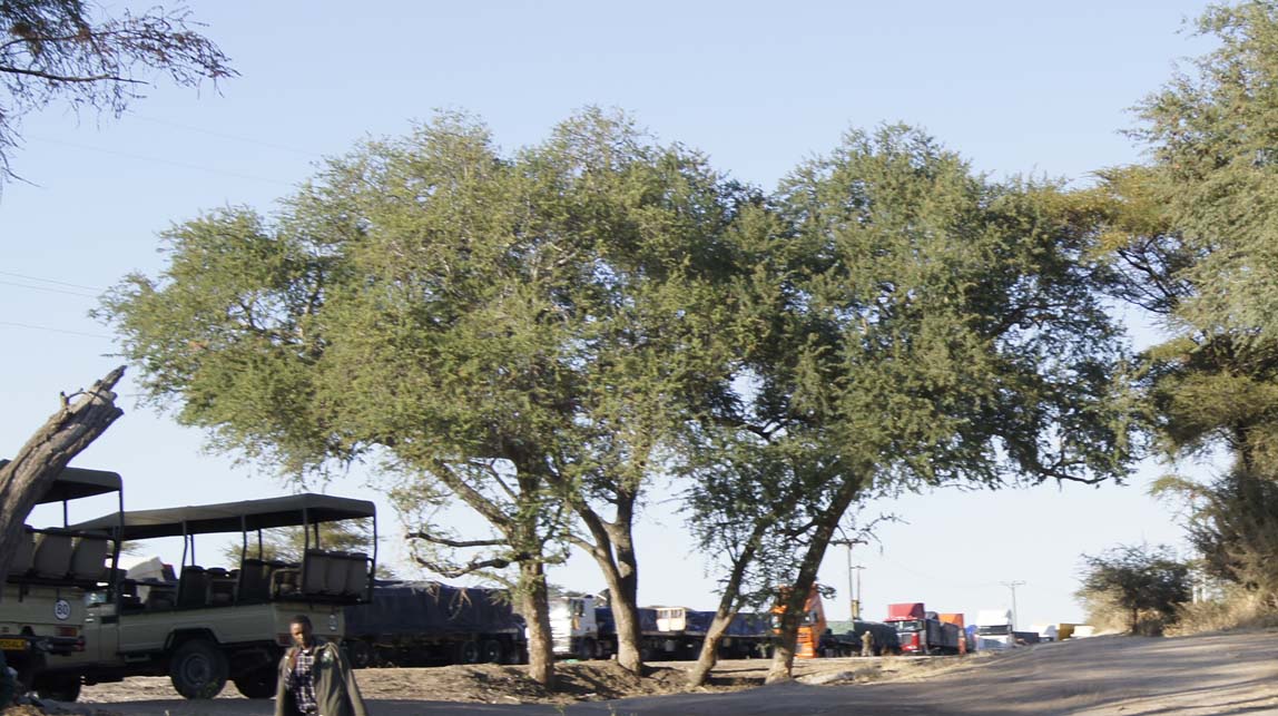 line of trucks at border