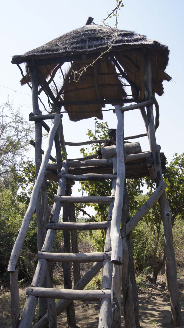 hippo watch tower