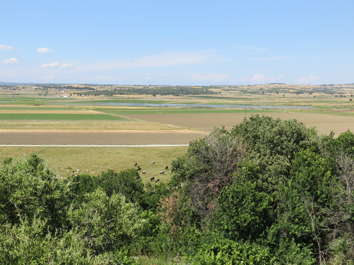 Aegean plain