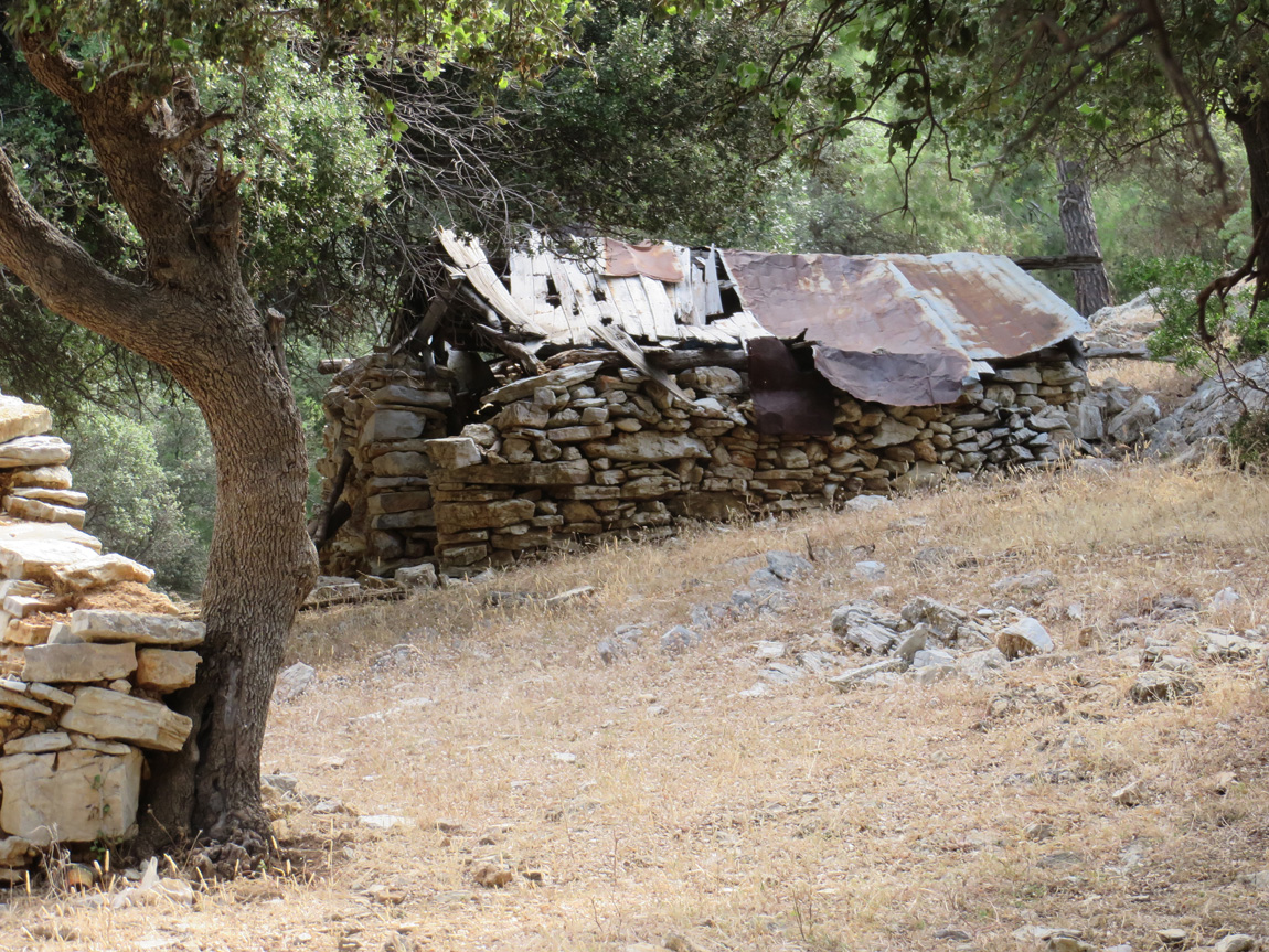 ruins of a house