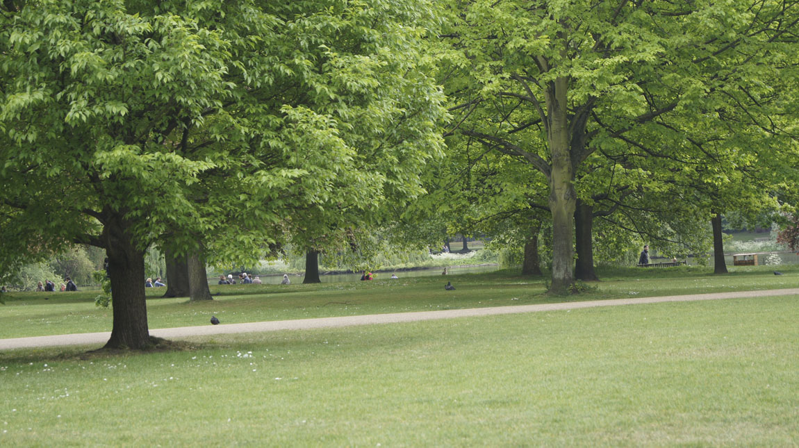 20170706-buckinghampalace24b.jpg