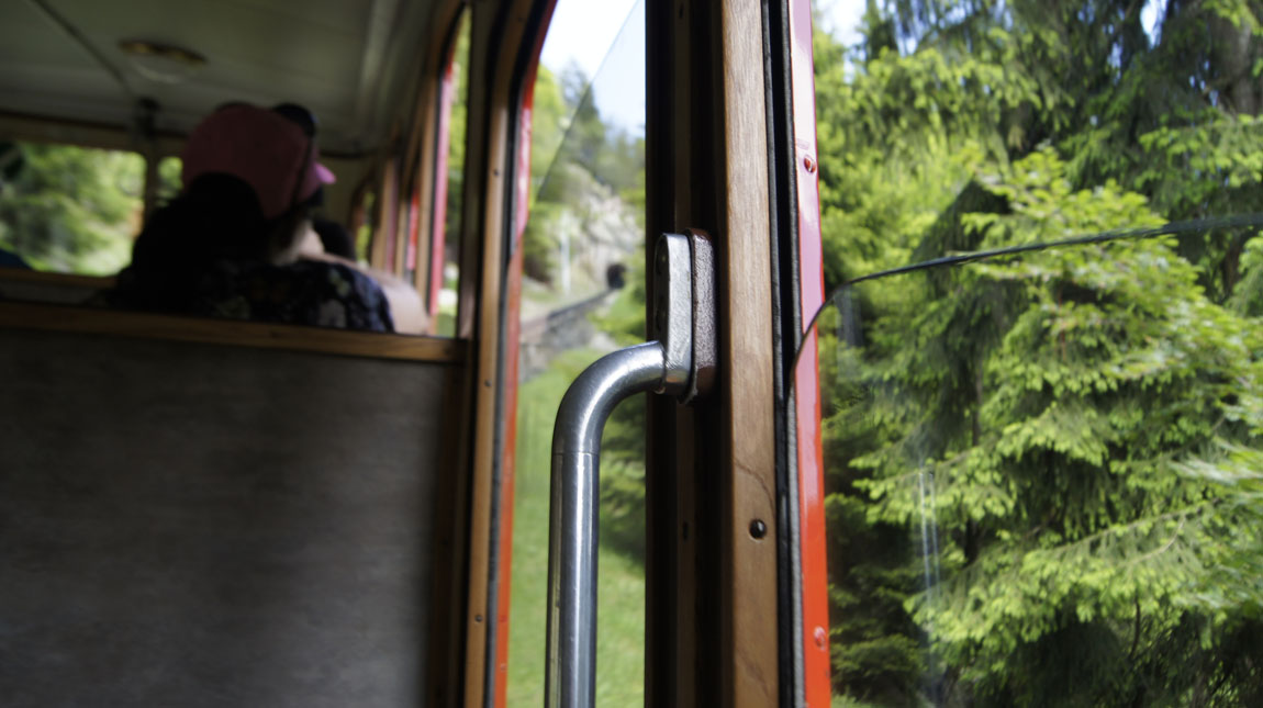 on the cogwheel train