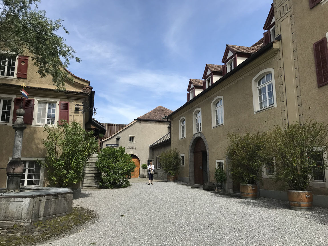 Schloss Salenegg winery