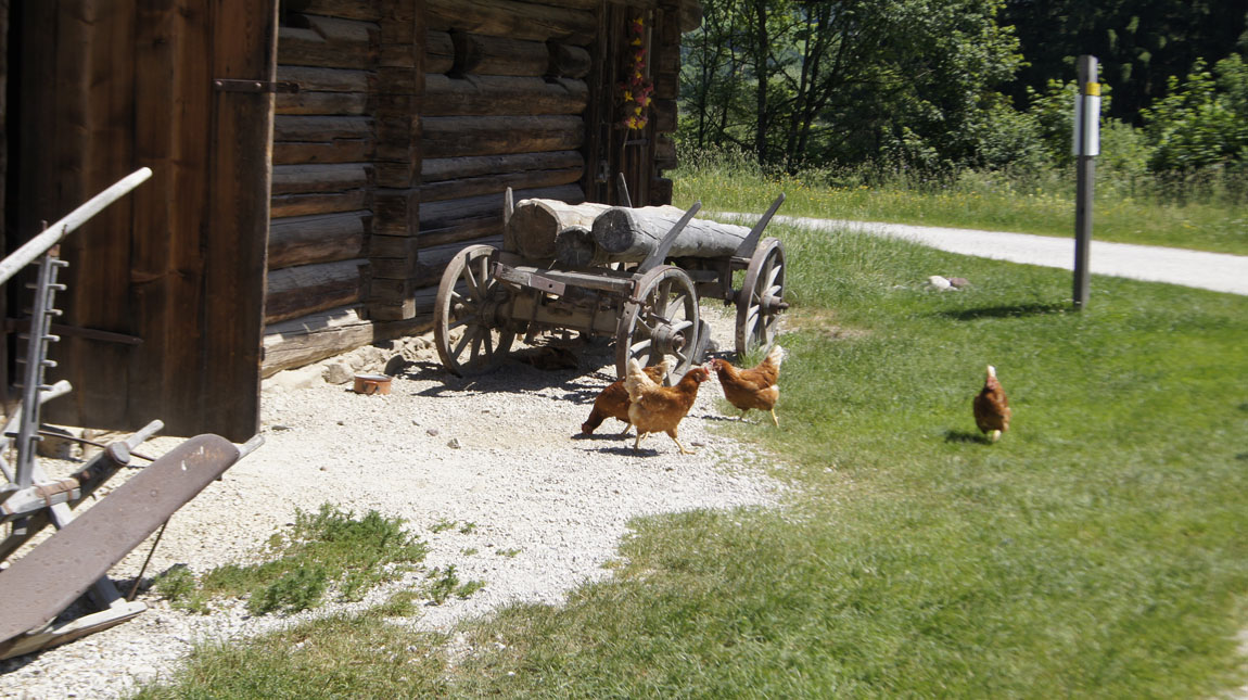 Tyrolean Farms