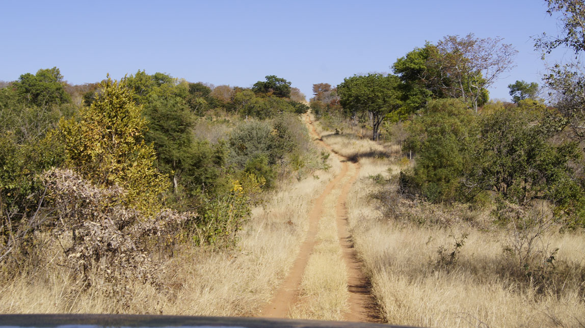 safari jeep trail