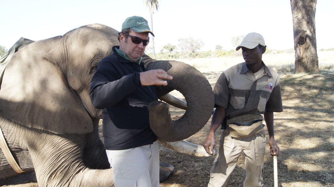 elephant ride