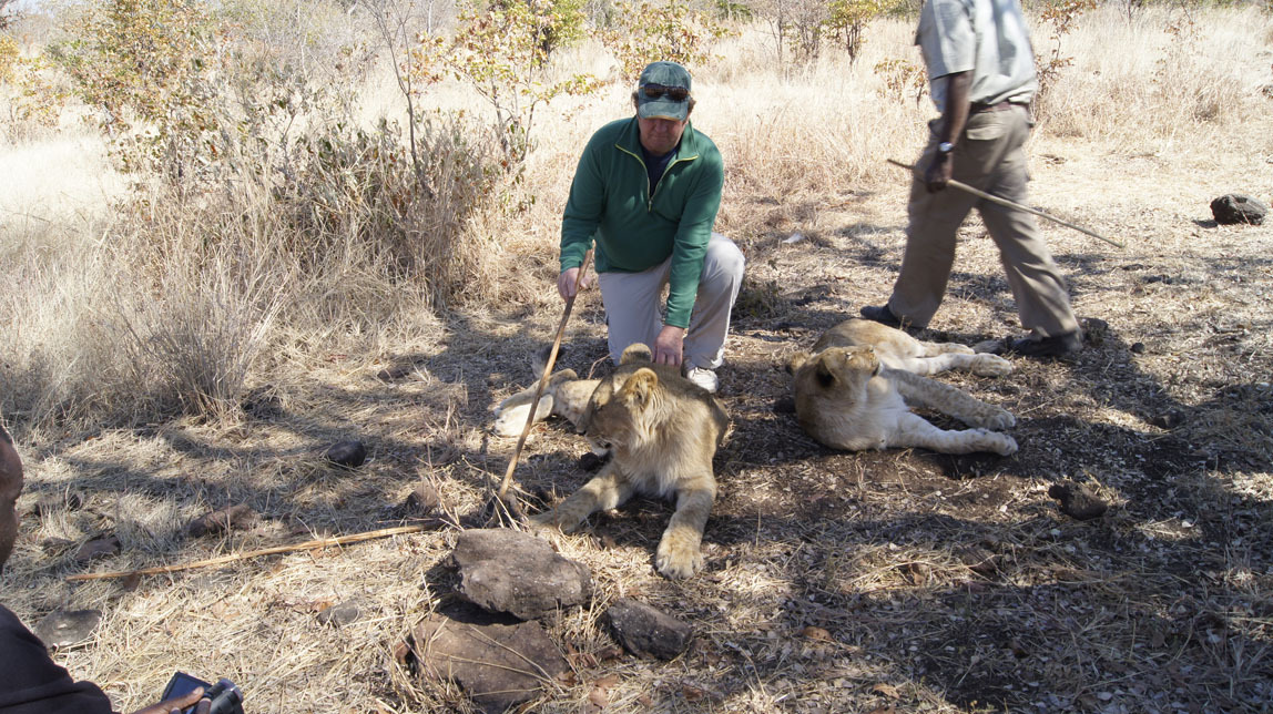 John with lions