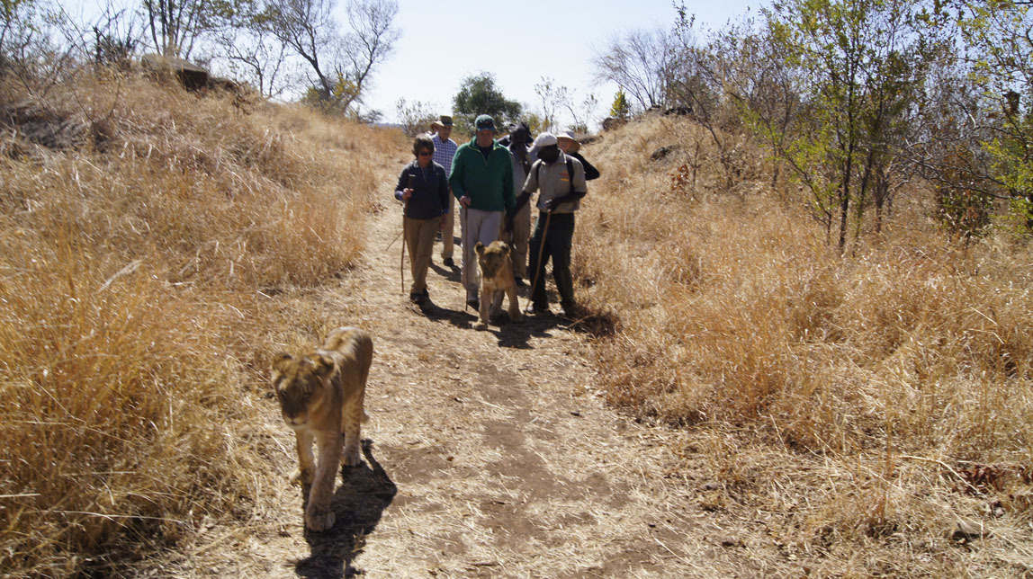 John and Patty on lion walk