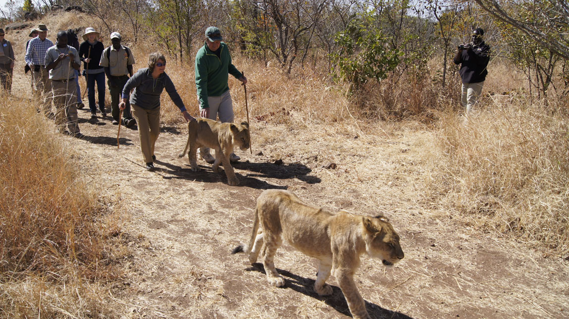 John and Patty on lion walk