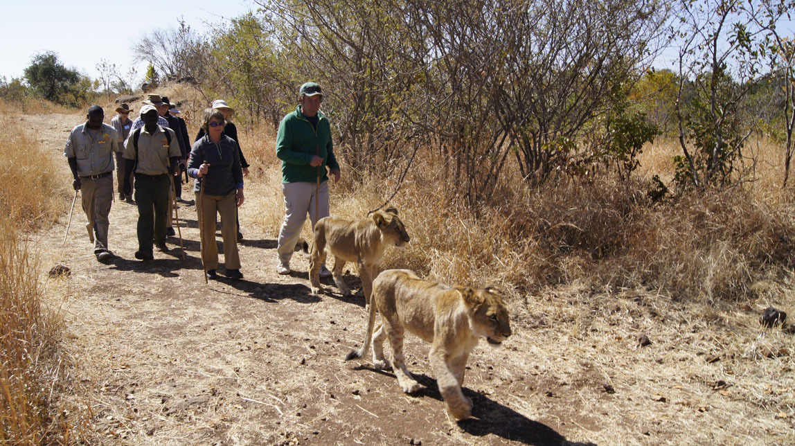 John and Patty on lion walk