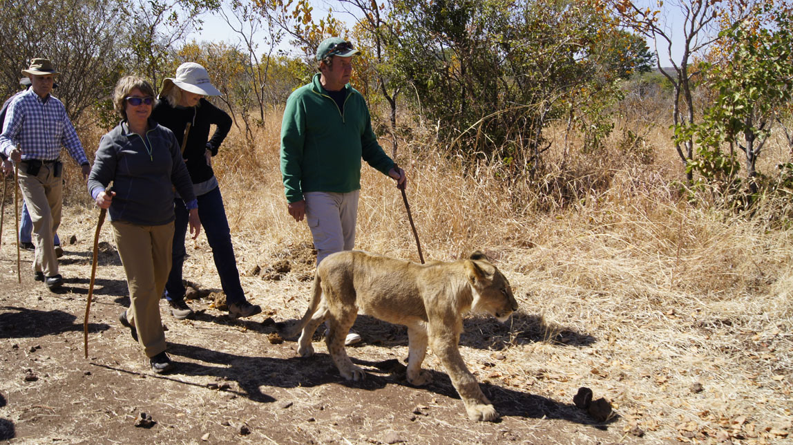 John and Patty on lion walk