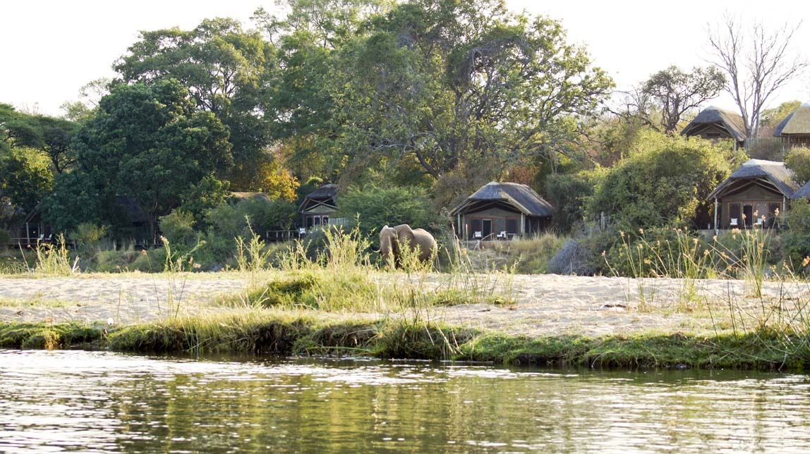 elephants by lodge