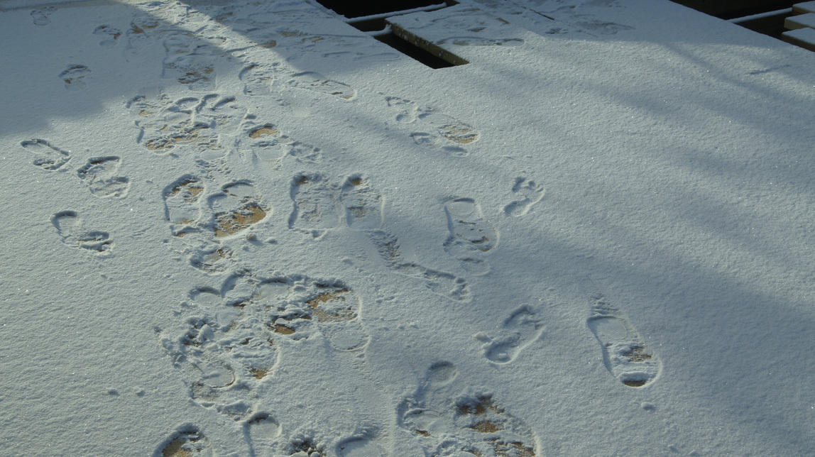 footprints