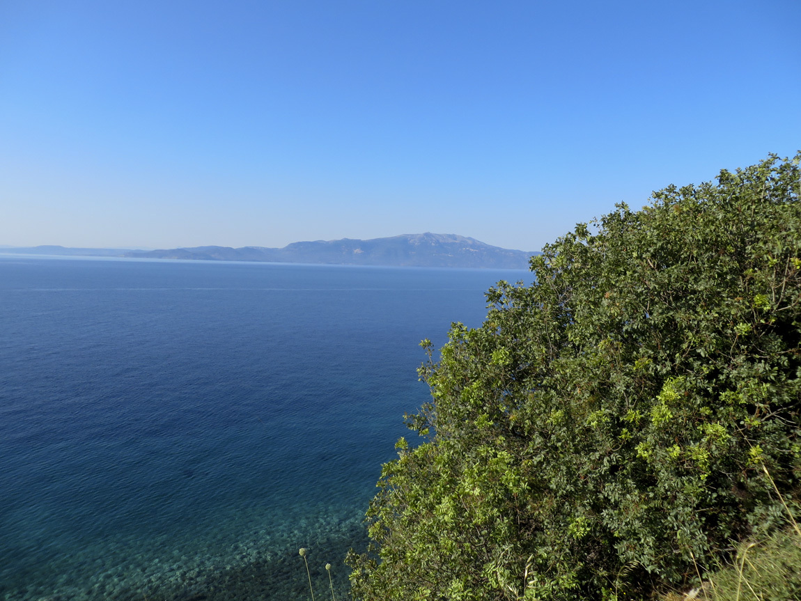 Assos view