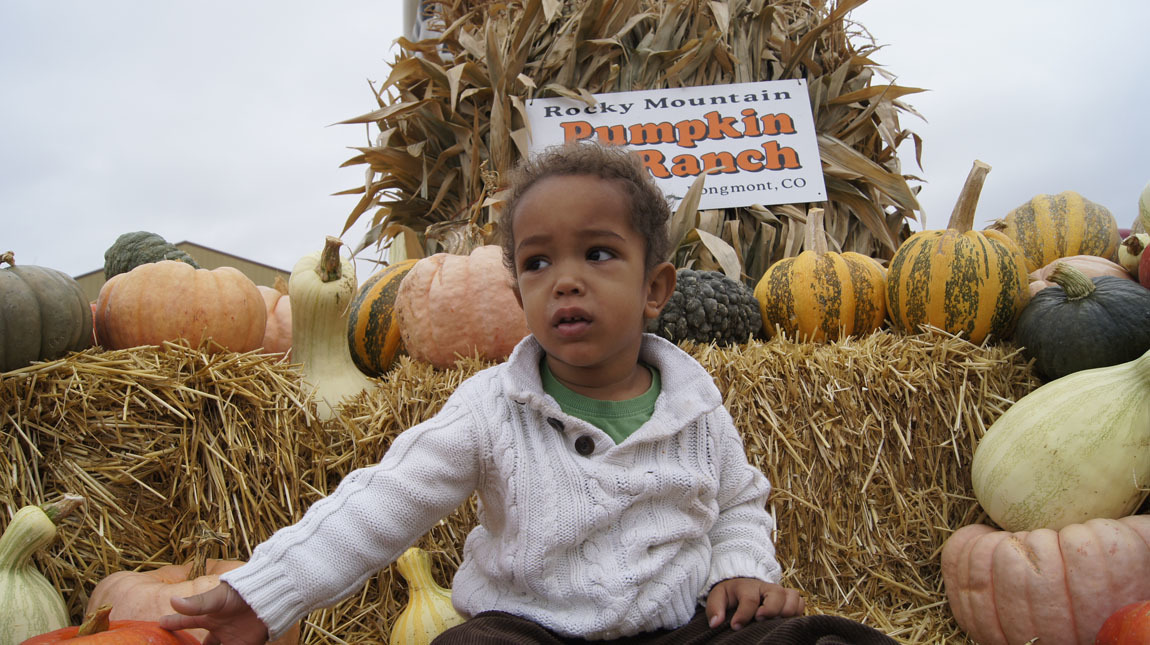 20151006-dzopumpkinpile.jpg