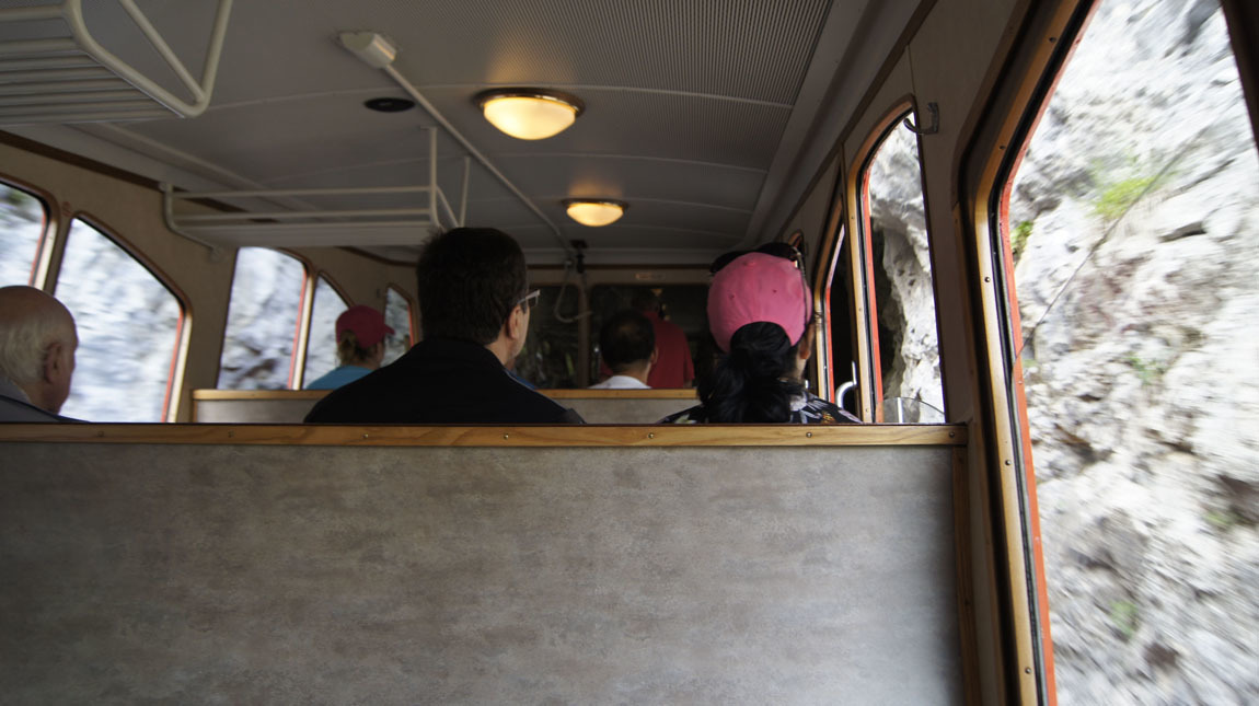 on the cogwheel train